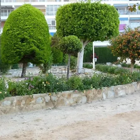 4 Personas Urbanizacion Habaneras 托雷维耶哈