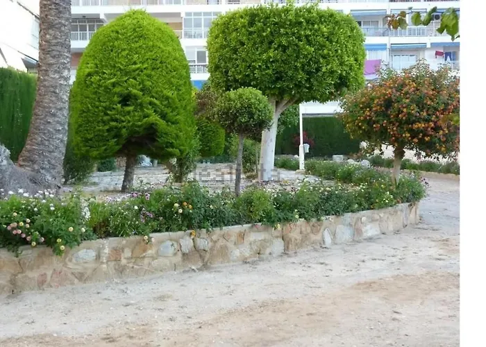 4 Personas Urbanizacion Habaneras Torrevieja